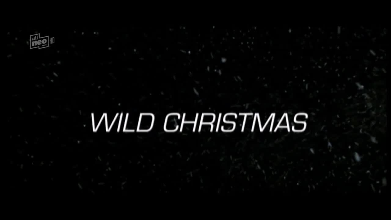 Video 25451 from Charlize Theron