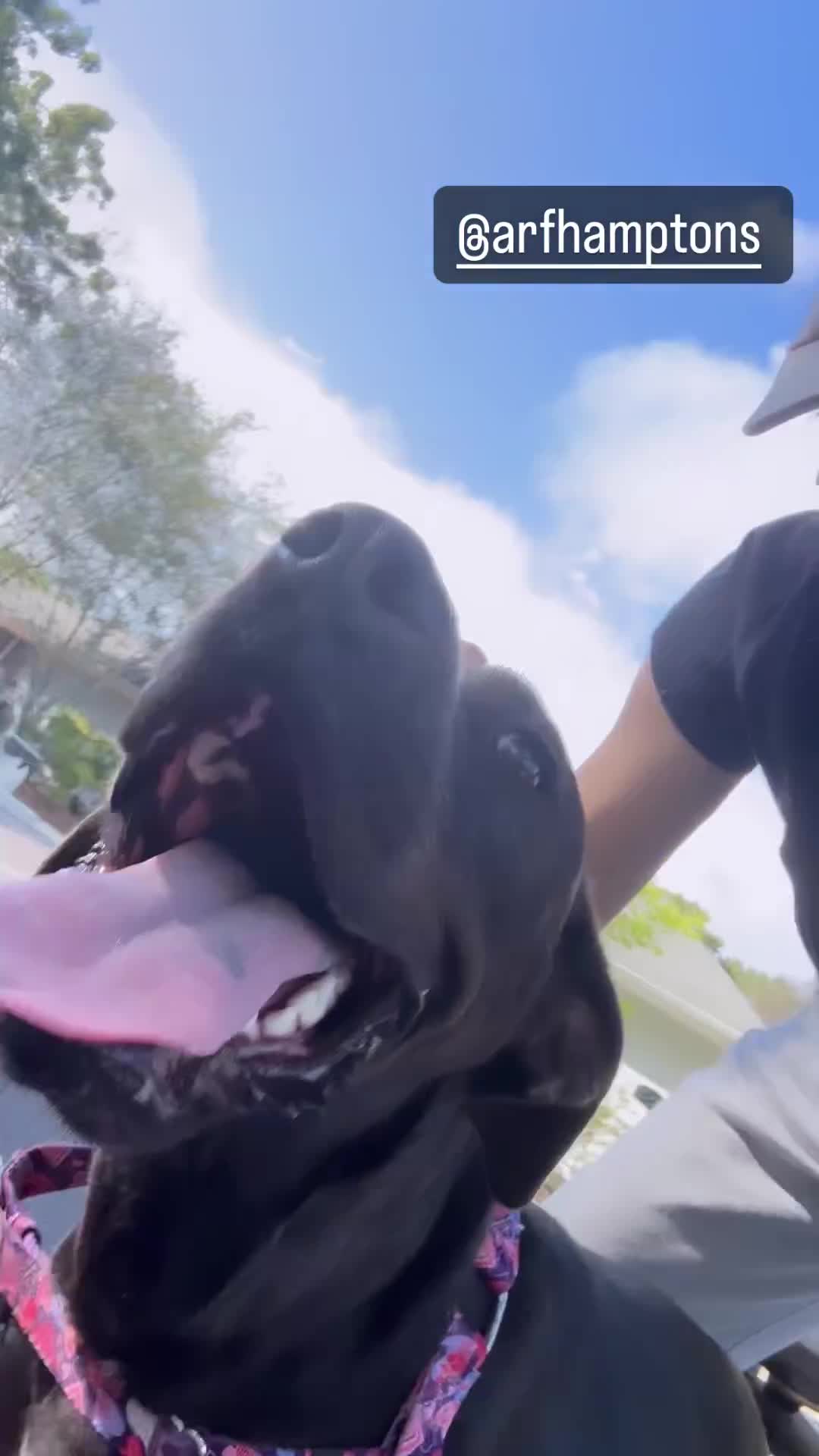 Video 26177 from Alexandra Daddario