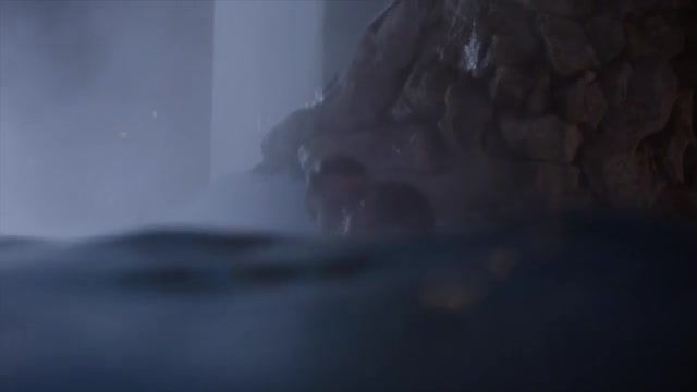 Video 26199 from Roxanne Pallett