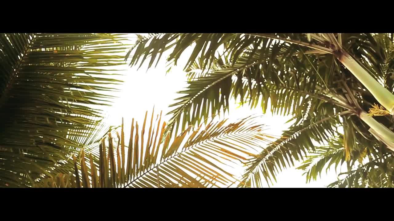 Video 26204 from Joy Corrigan