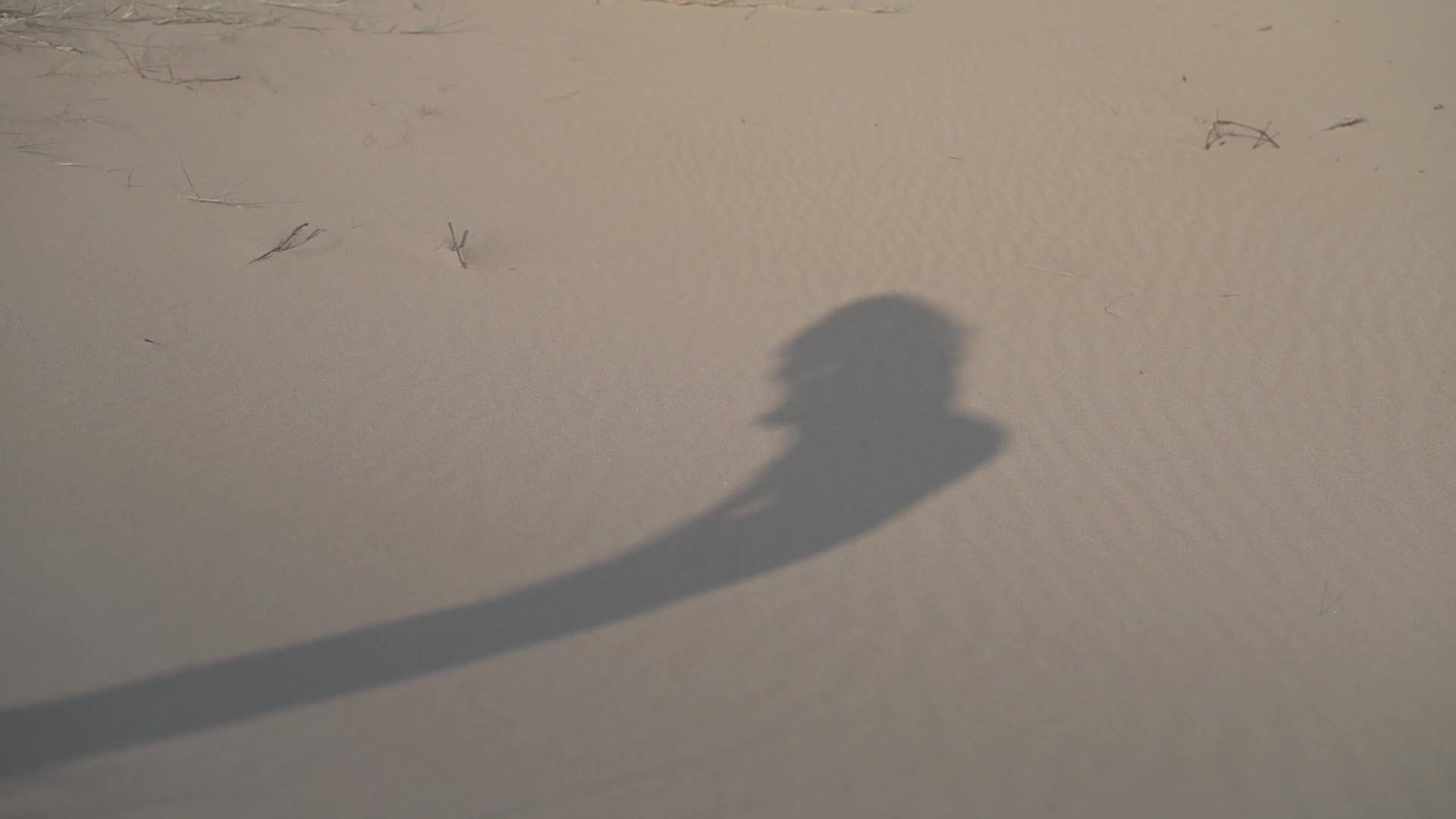 Video 26383 from Natalie Roser