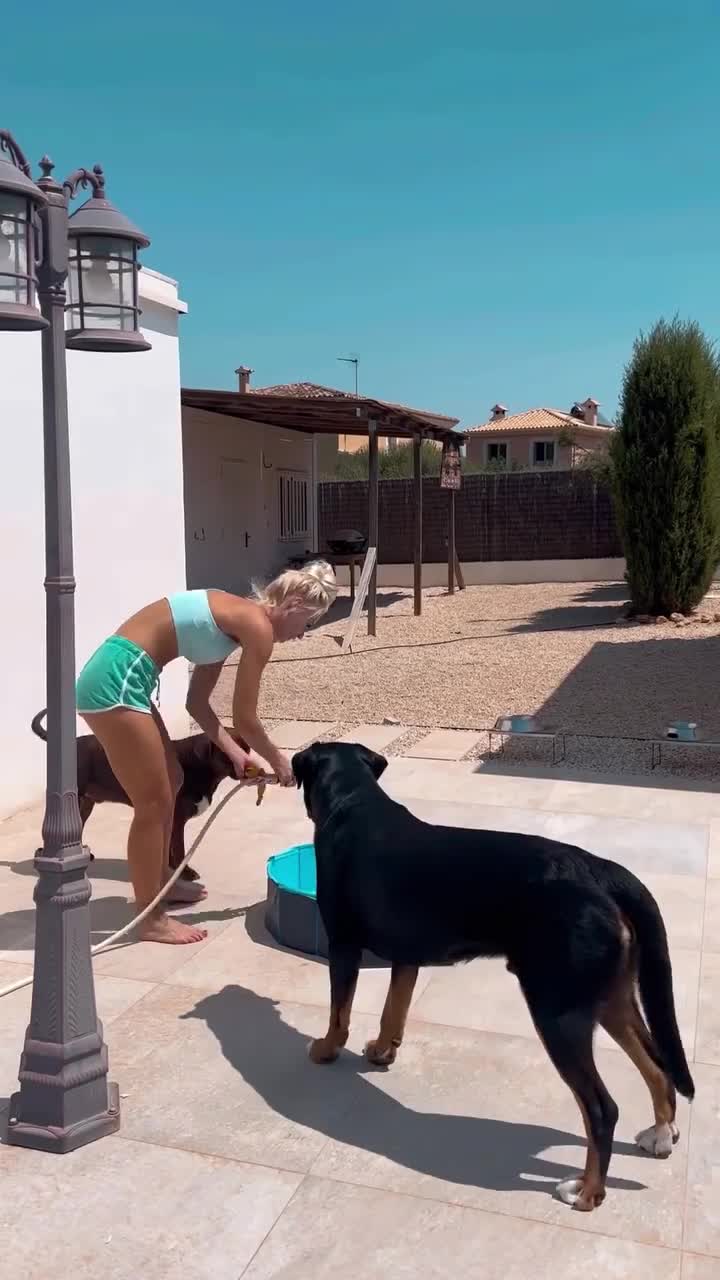 Video 26577 from Isi Glück