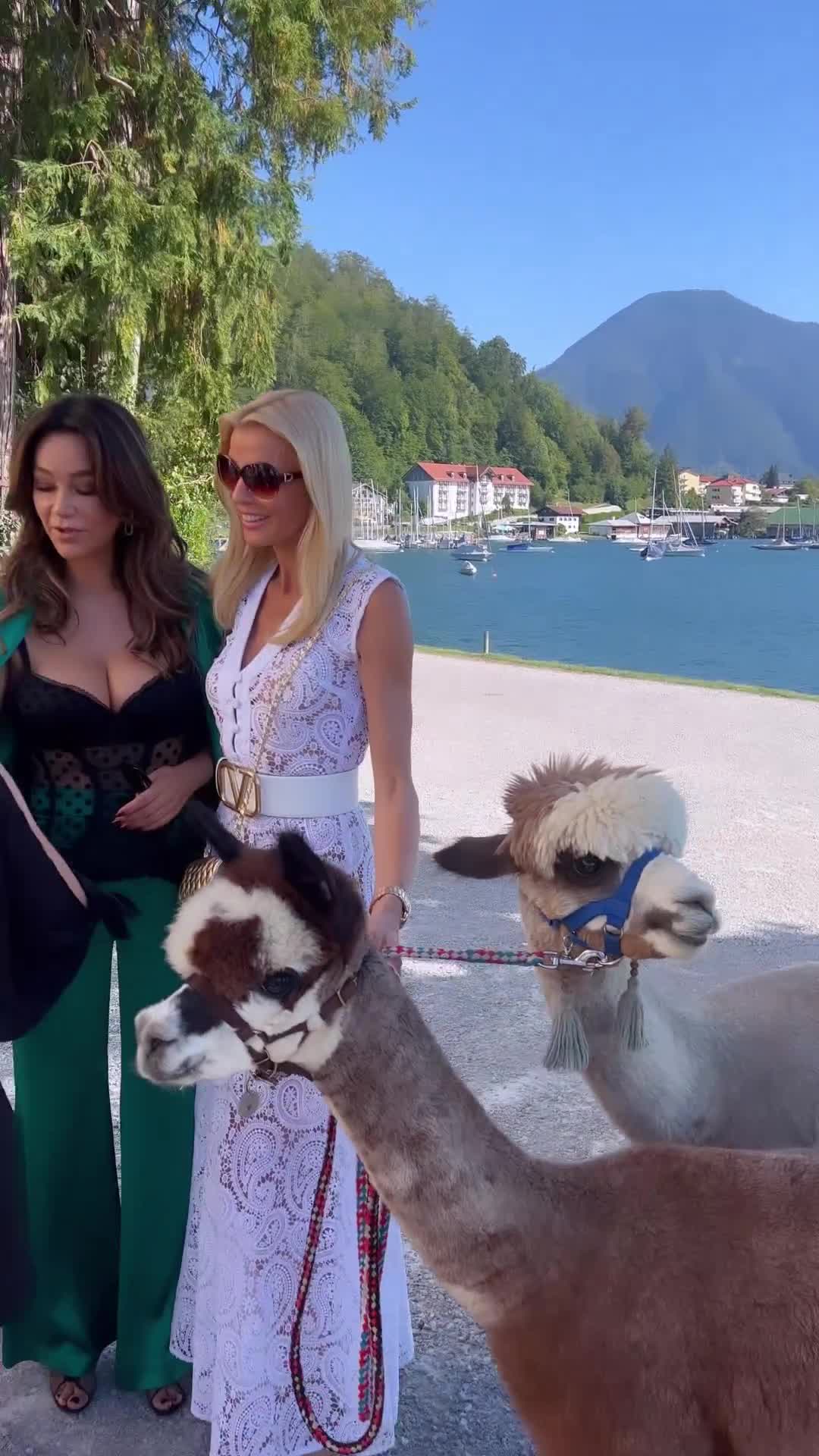 Video 26604 from Verona Pooth