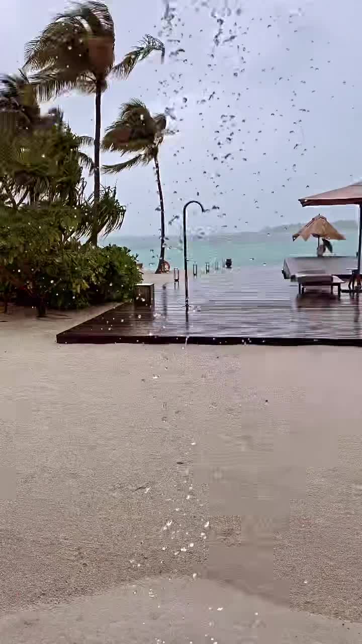 Video 26609 from Verona Pooth