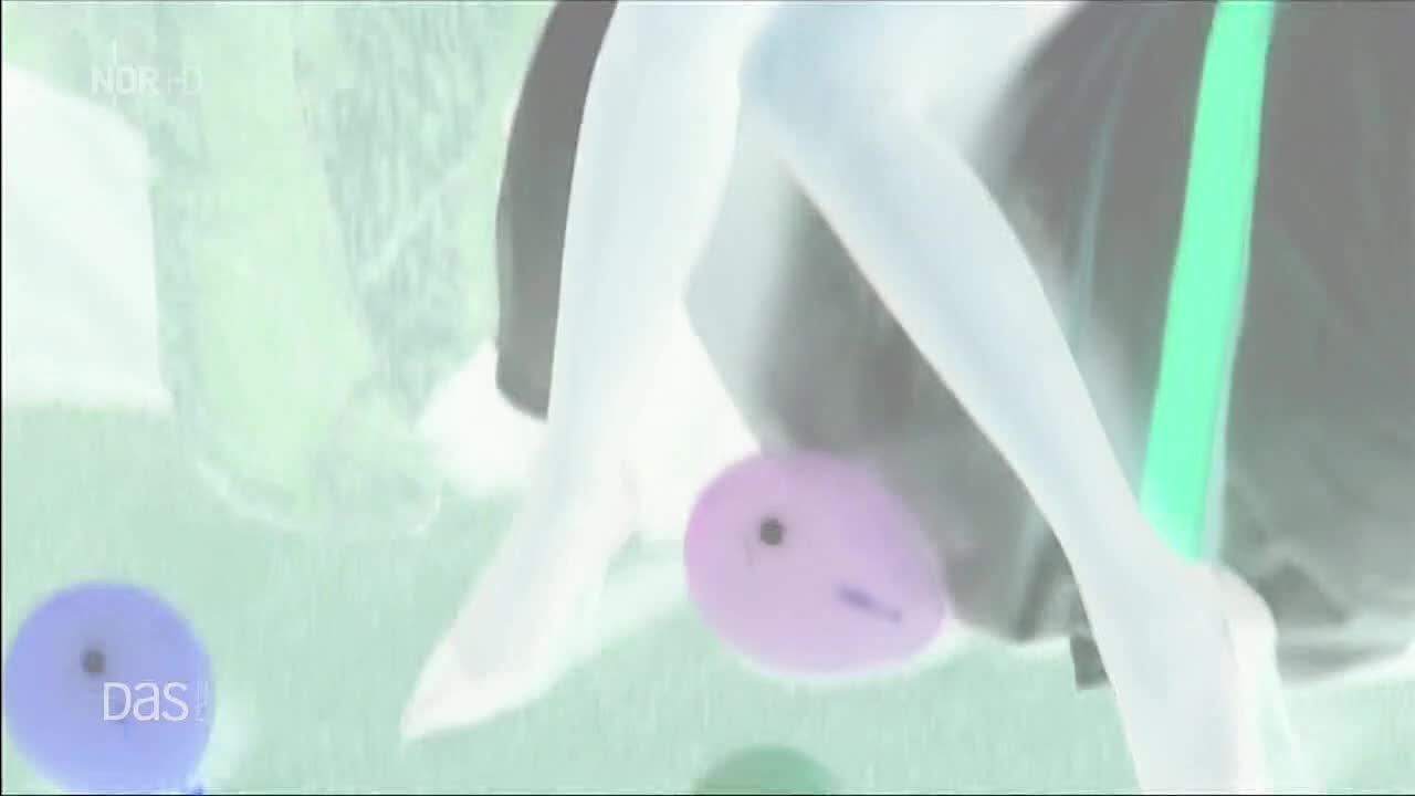 Video 26650 from Verona Pooth