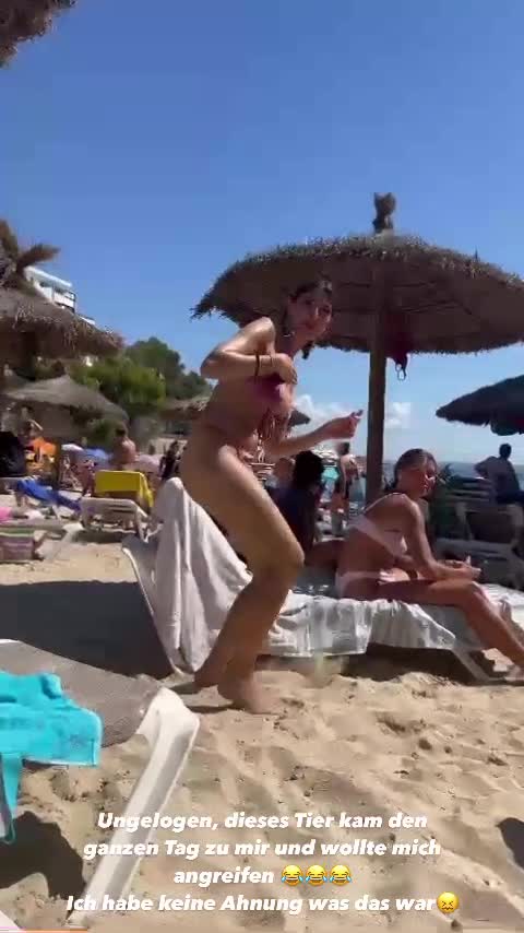 Video 26913 from Yeliz Koc