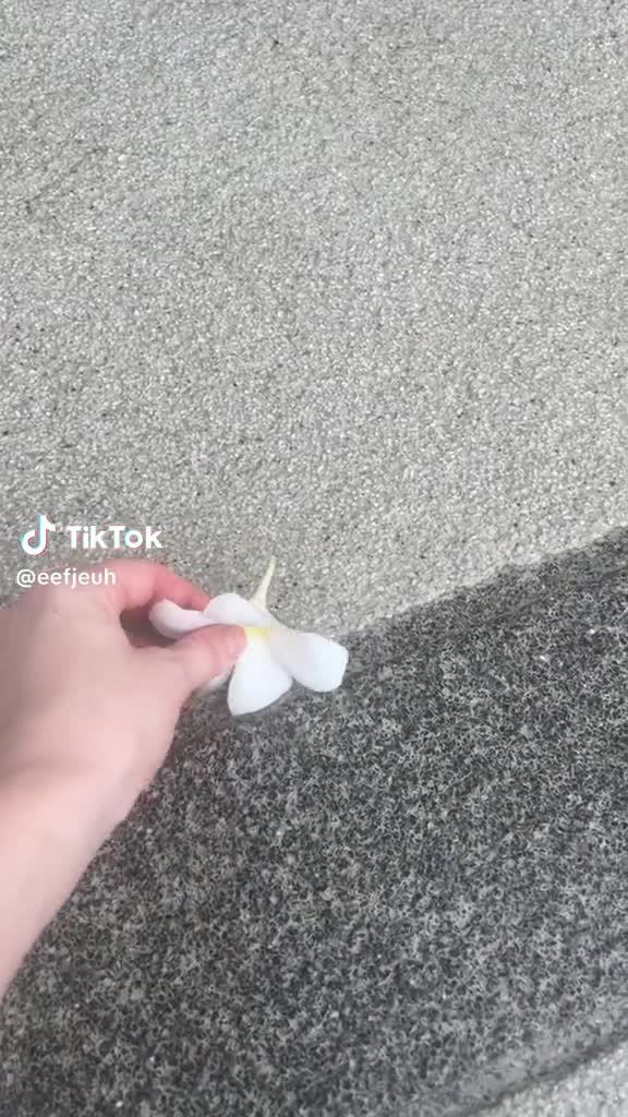 Video 27047 from Eefje Depoortere