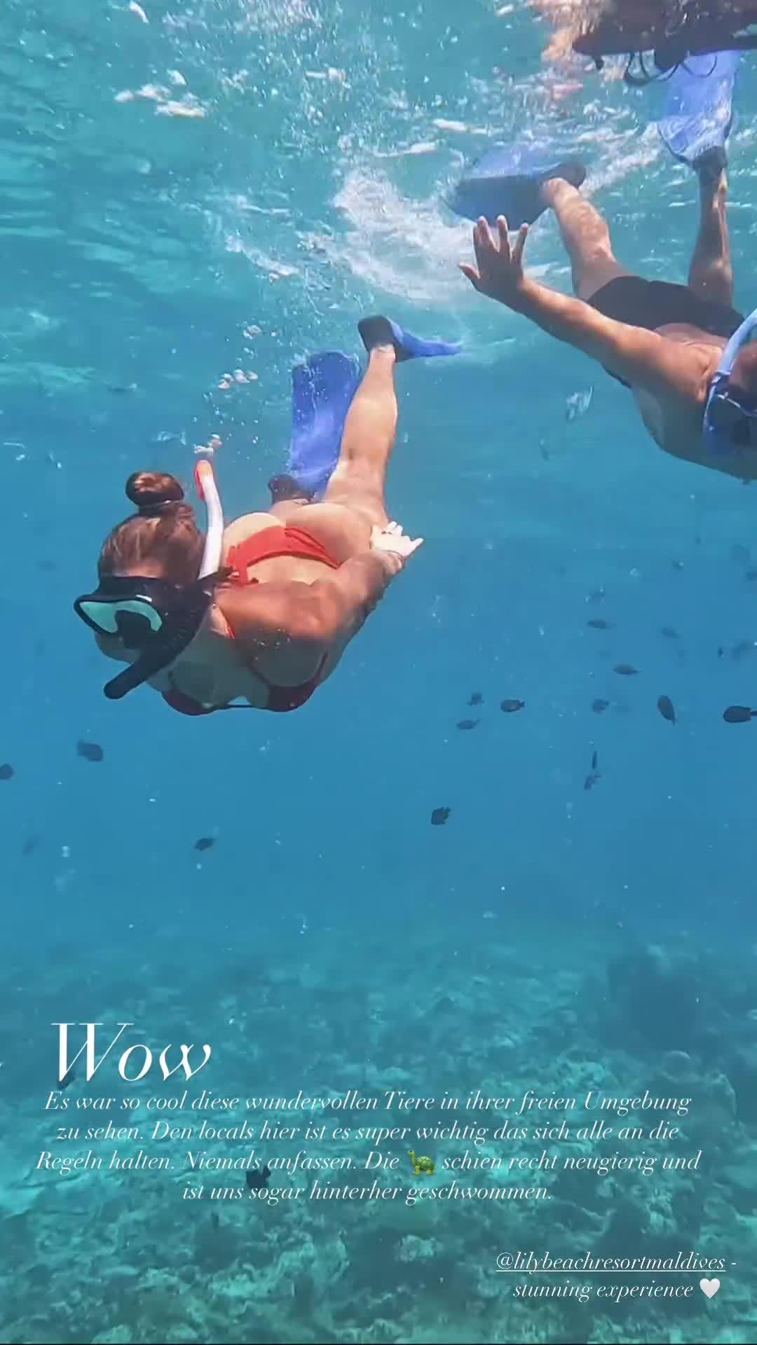 Video 27395 from Sarah Engels