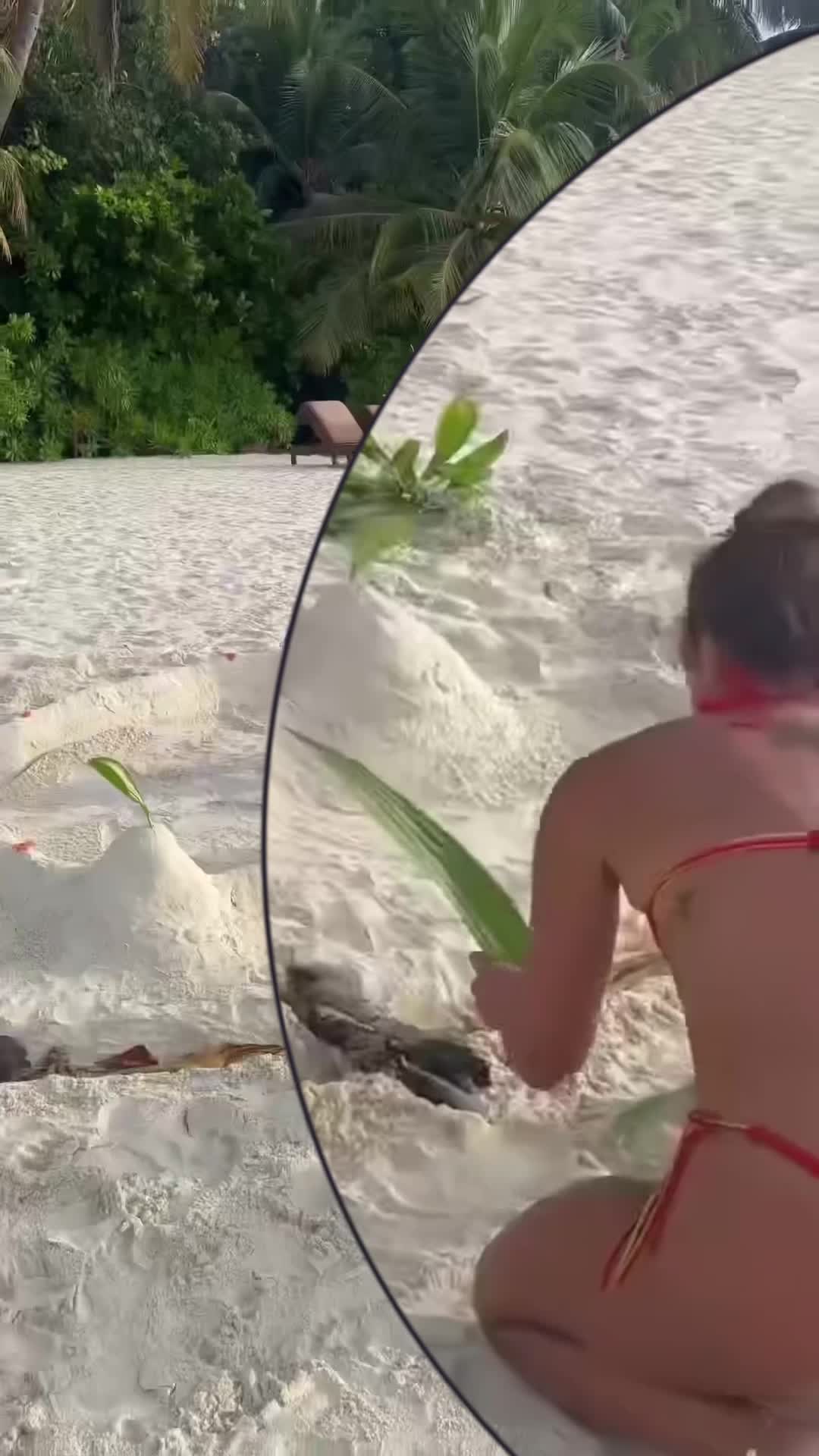 Video 27399 from Sarah Engels