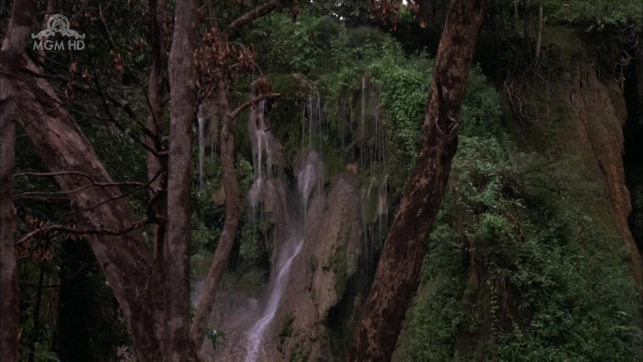 Video 27814 from Gina Gershon