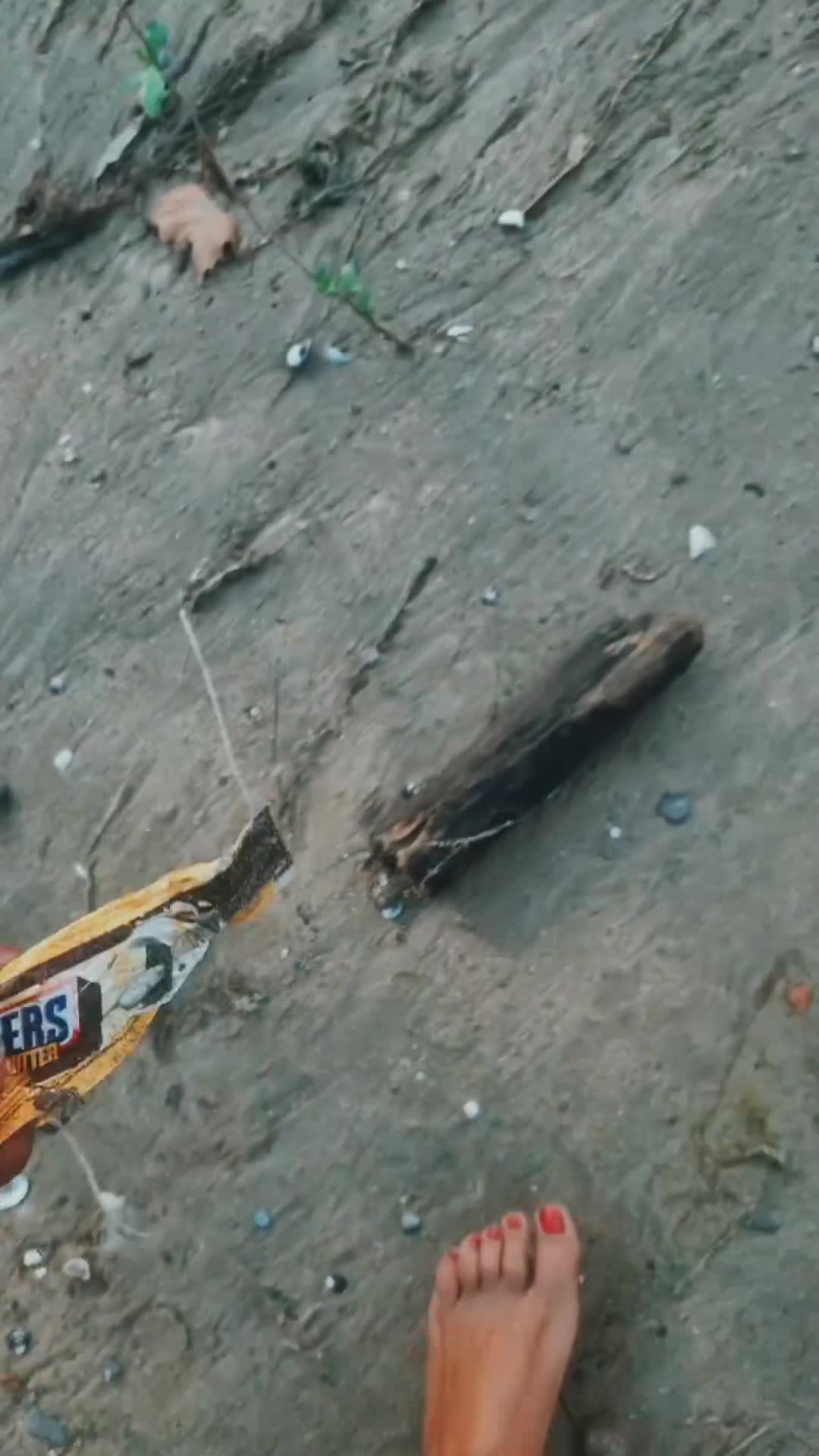 Video 28031 from Indira Weis