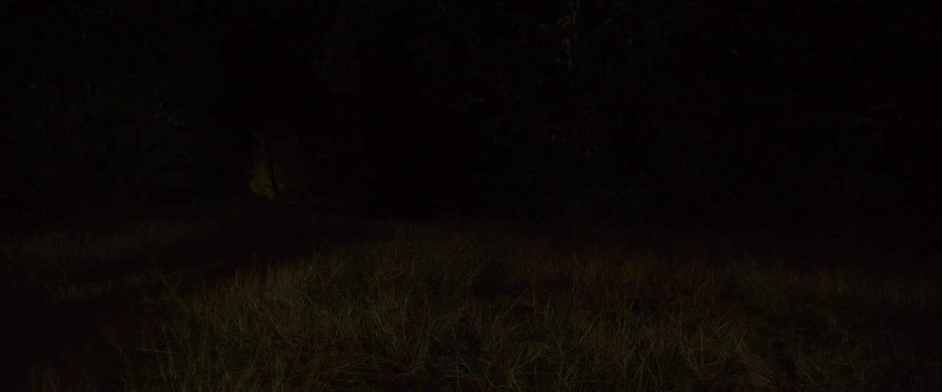 Video 28333 from Lily-Rose Depp