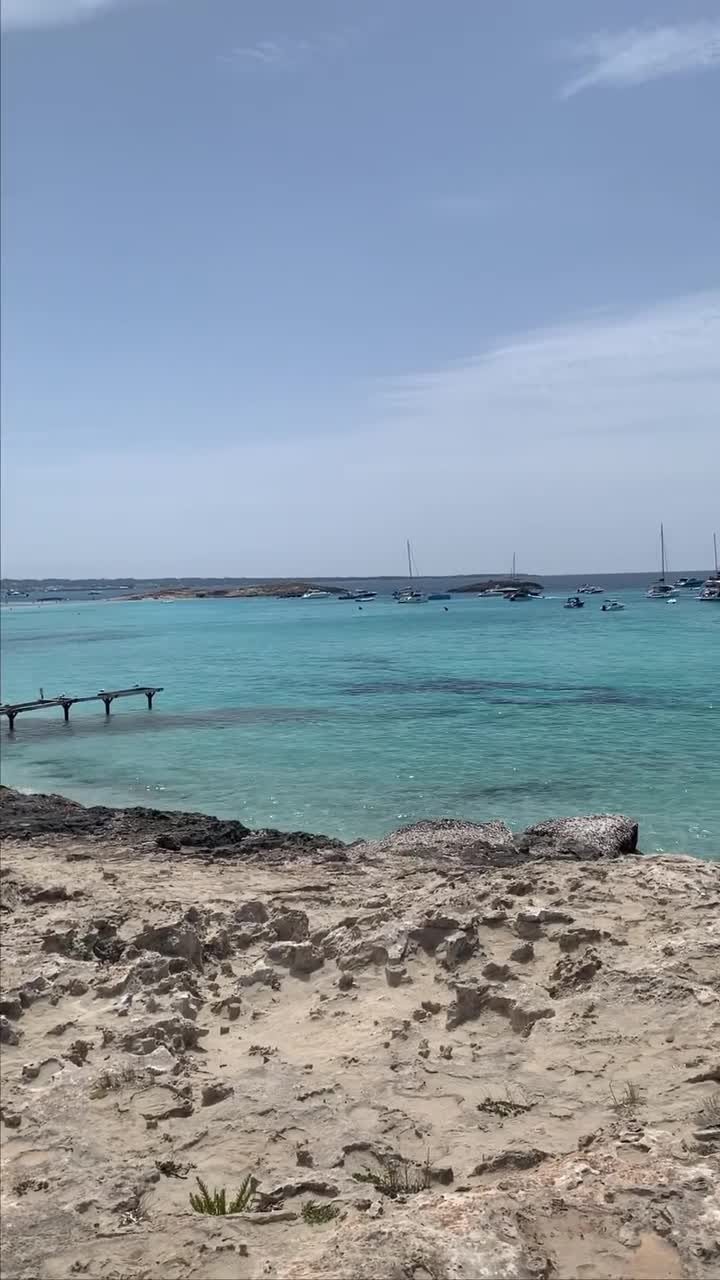 Video 28360 from Jule Brand