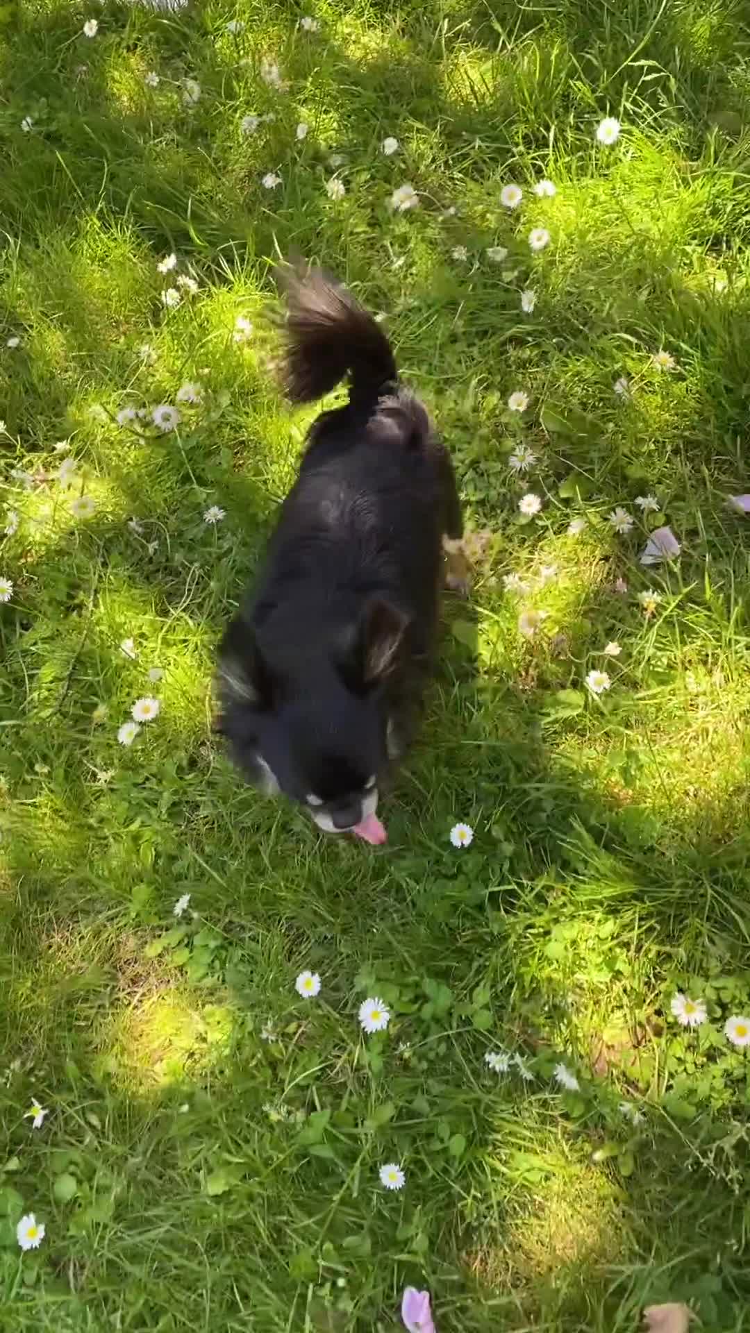 Video 28494 from Zahia Dehar