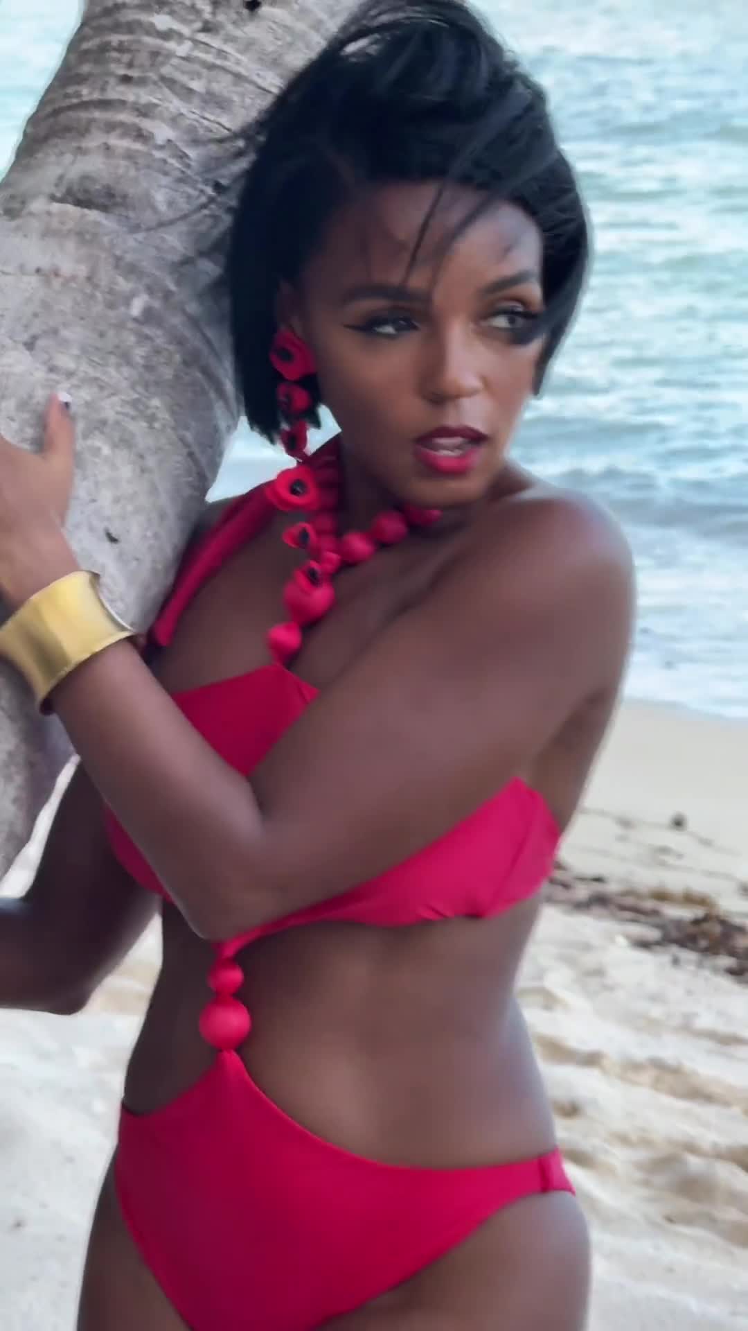 Video 28742 from Janelle Monae