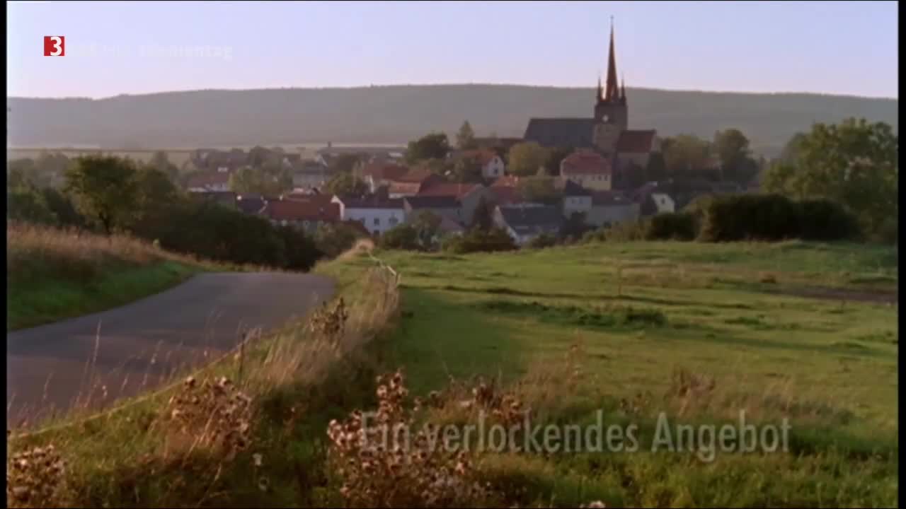 Video 29202 from Christiane Paul