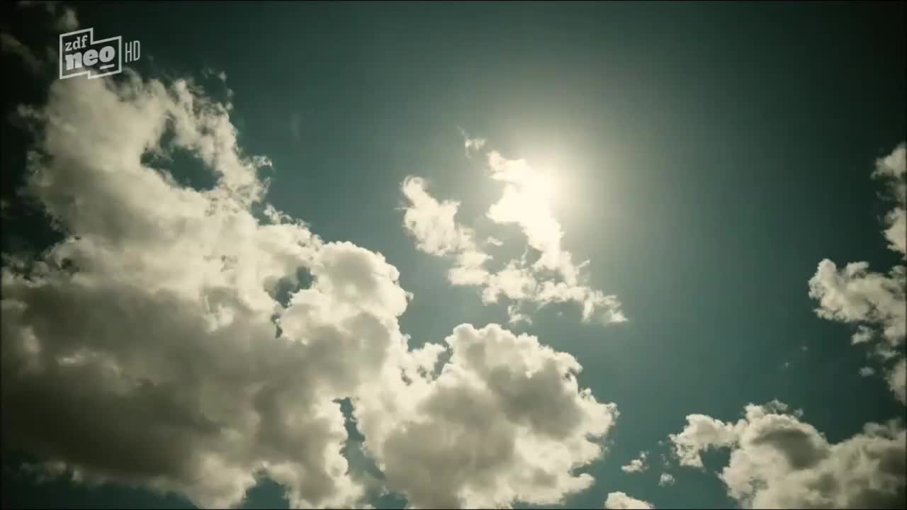 Video 29227 from Lisa Wagner