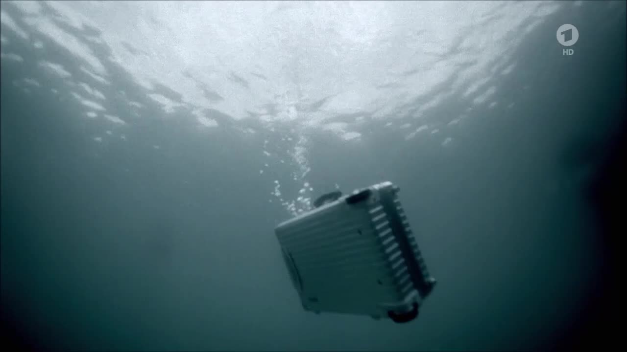 Video 29230 from Lisa Wagner