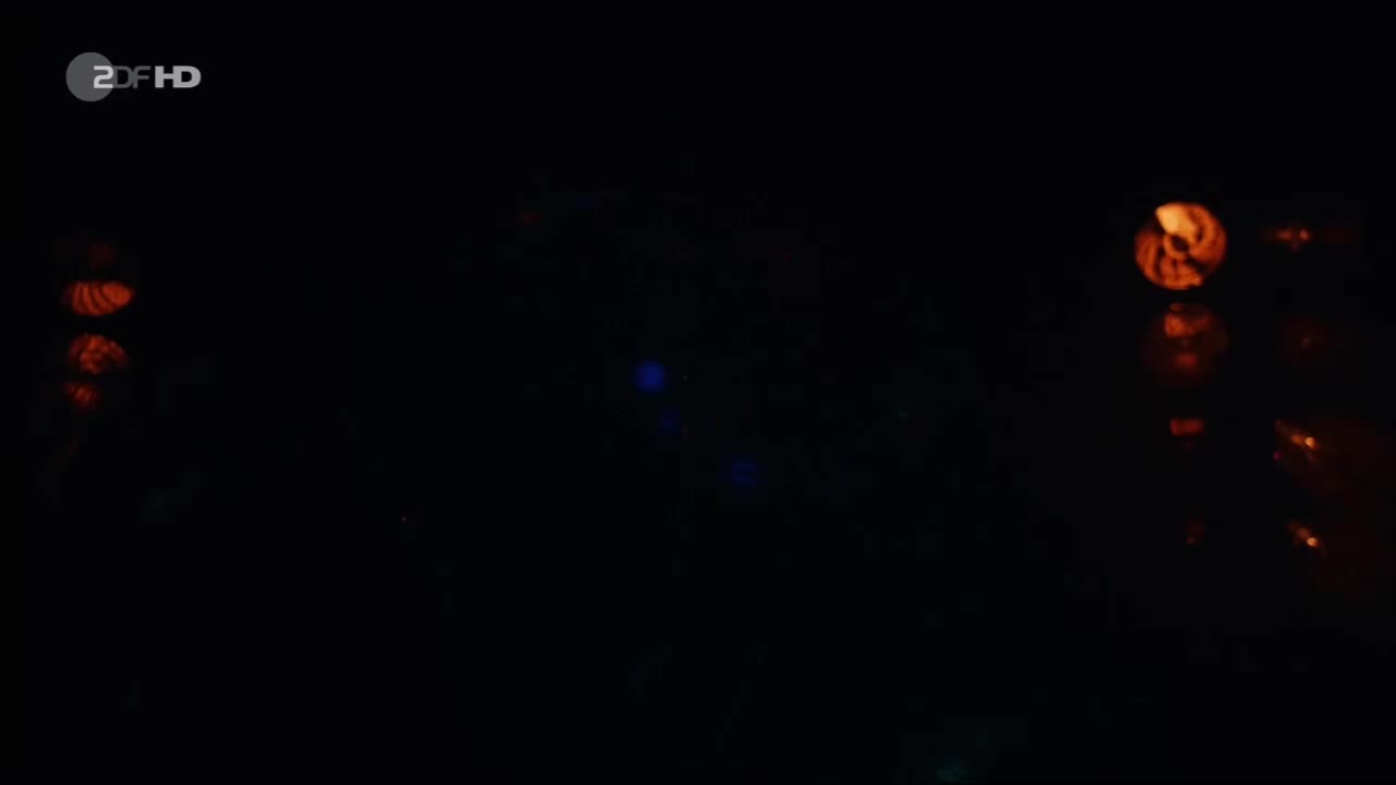 Video 29232 from Lisa Wagner