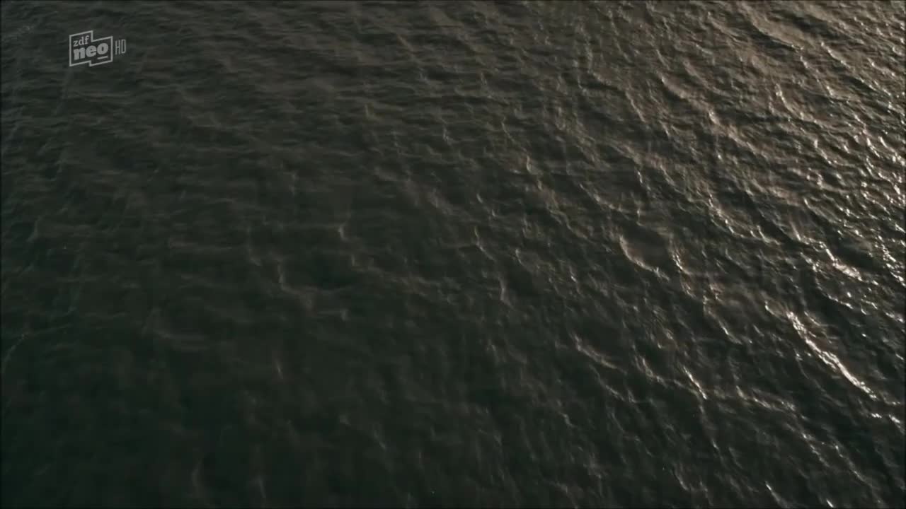 Video 29252 from Lisa Maria Potthoff