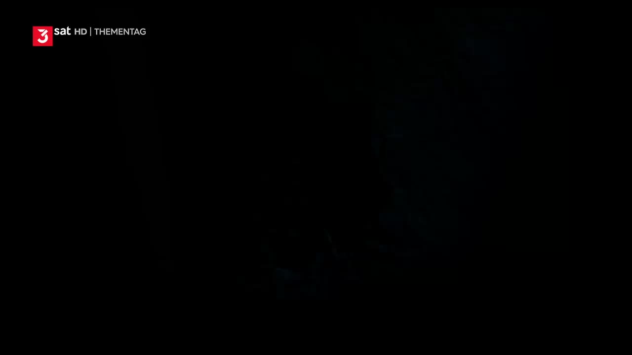 Video 29300 from Lavinia Wilson