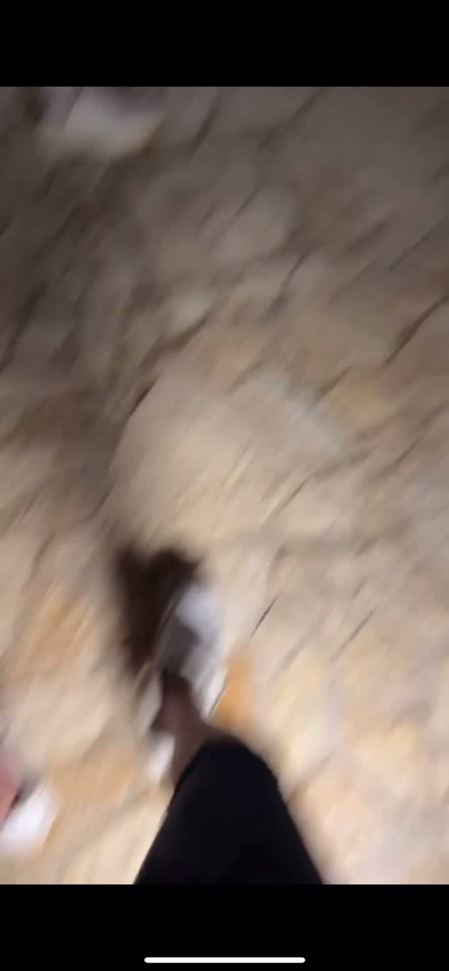 Video 29364 from Greta Jasmin El Moktadi