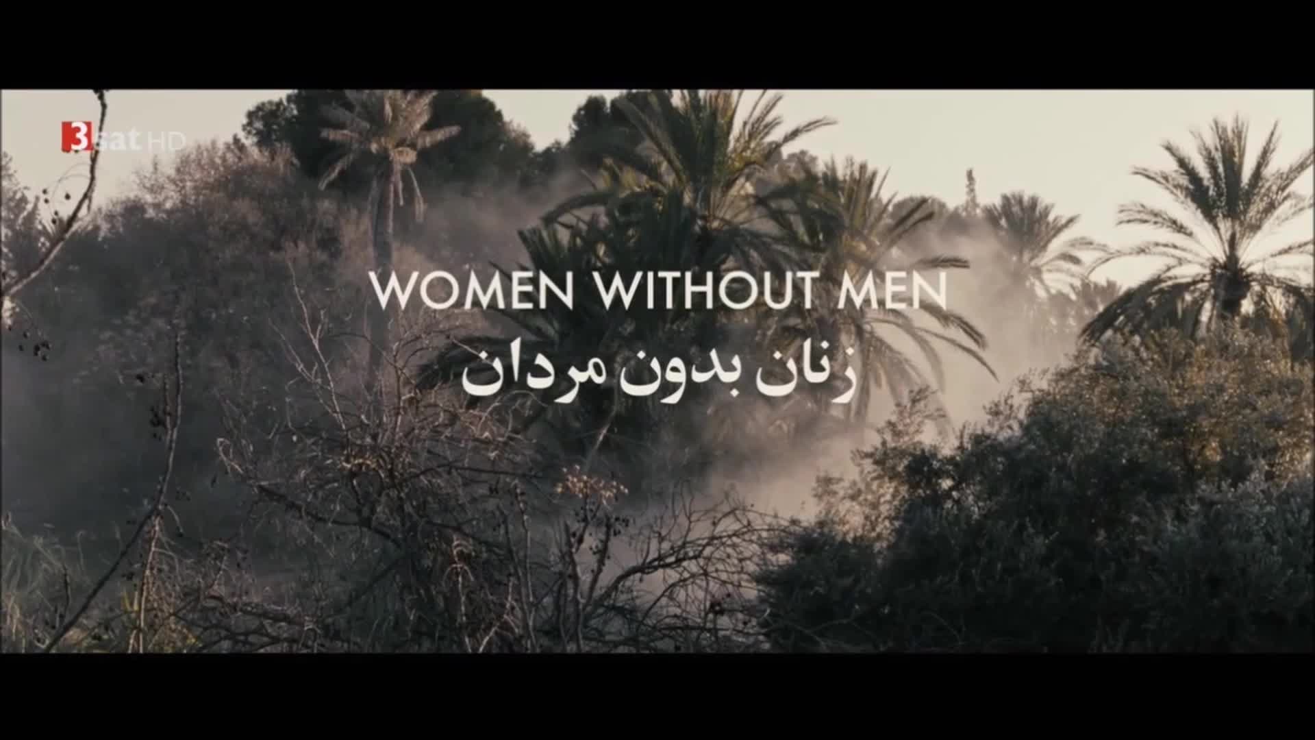 Video 29401 from Pegah Ferydoni