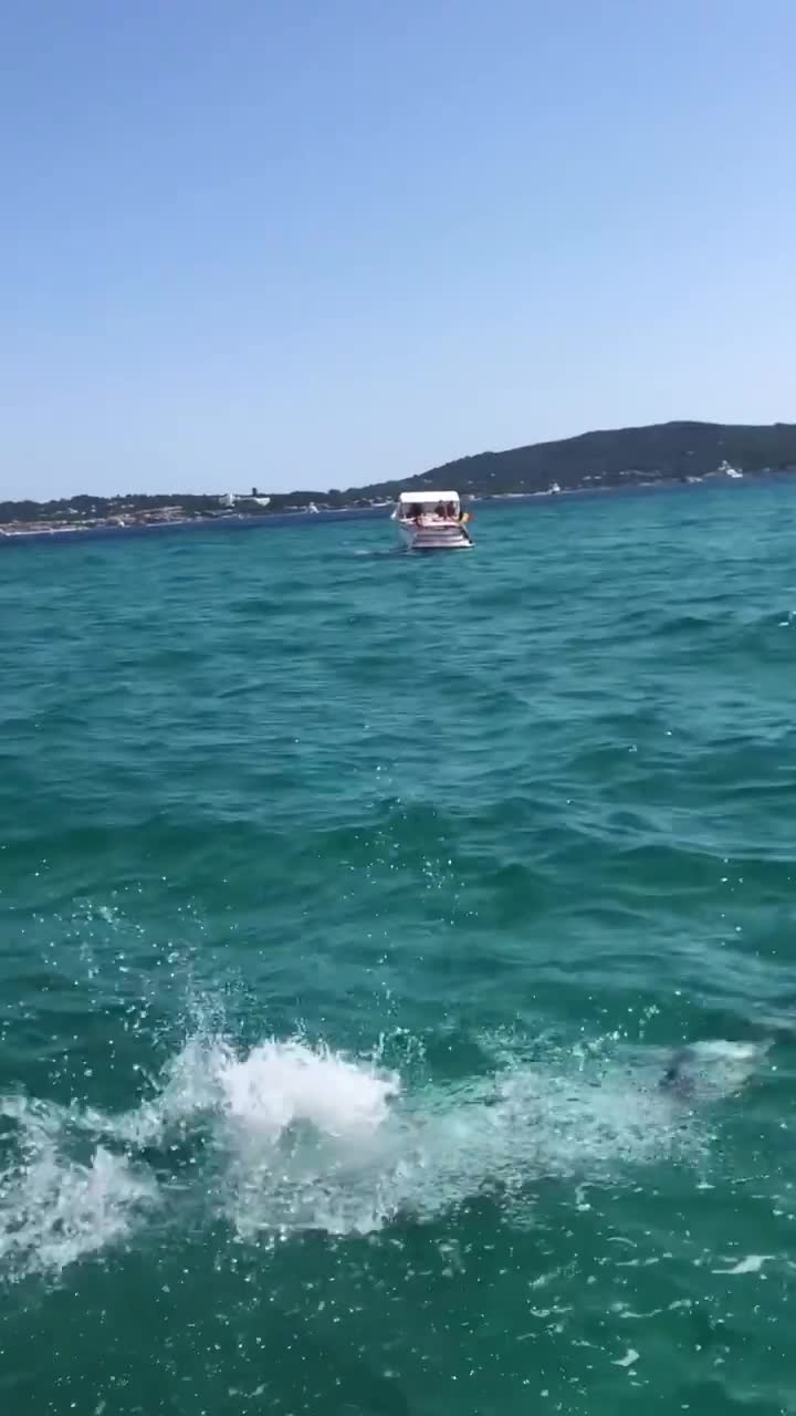 Video 29612 from Emily Kusche