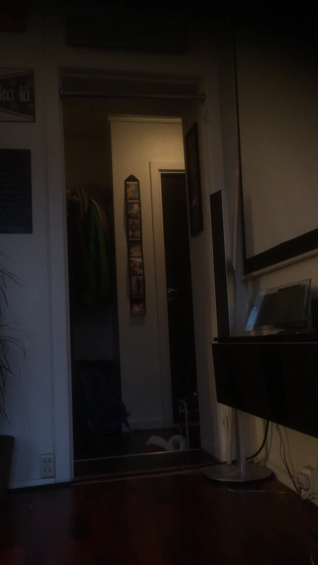 Video 29630 from Elise Thorsnes