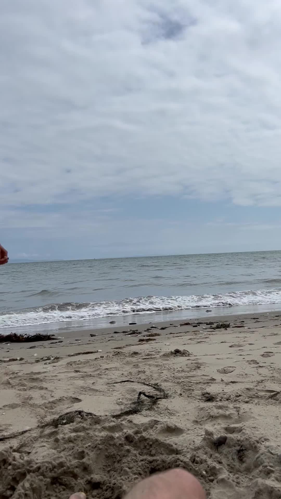 Video 31779 from stephinspace