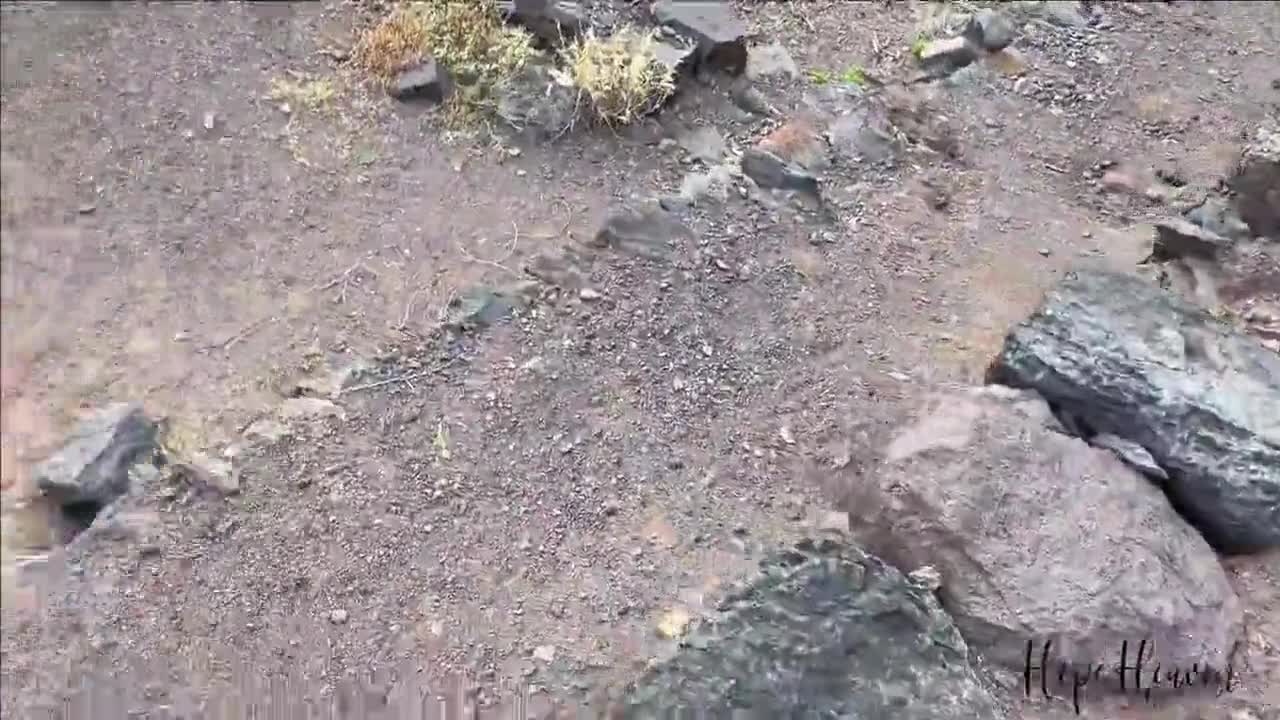 Video 32478 from Hope Heaven