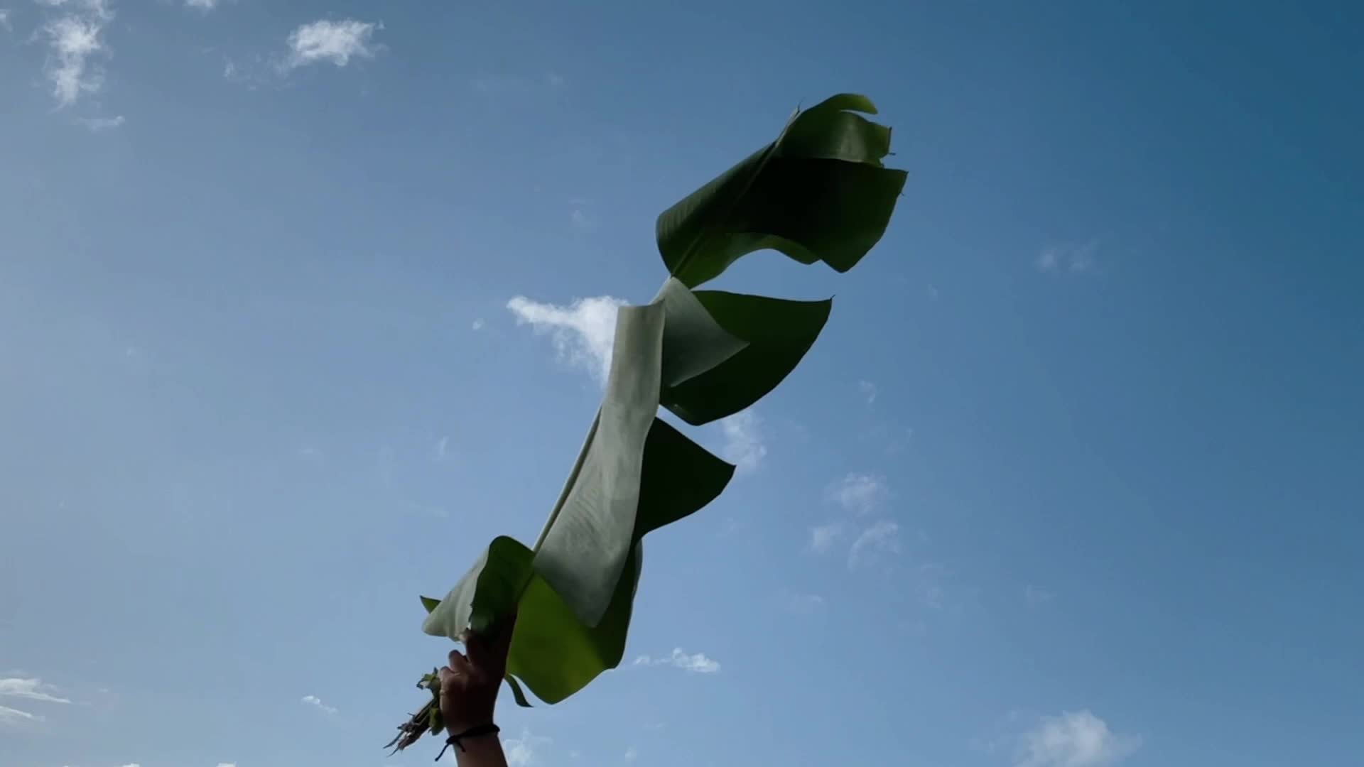 Video 32556 from Hope Heaven