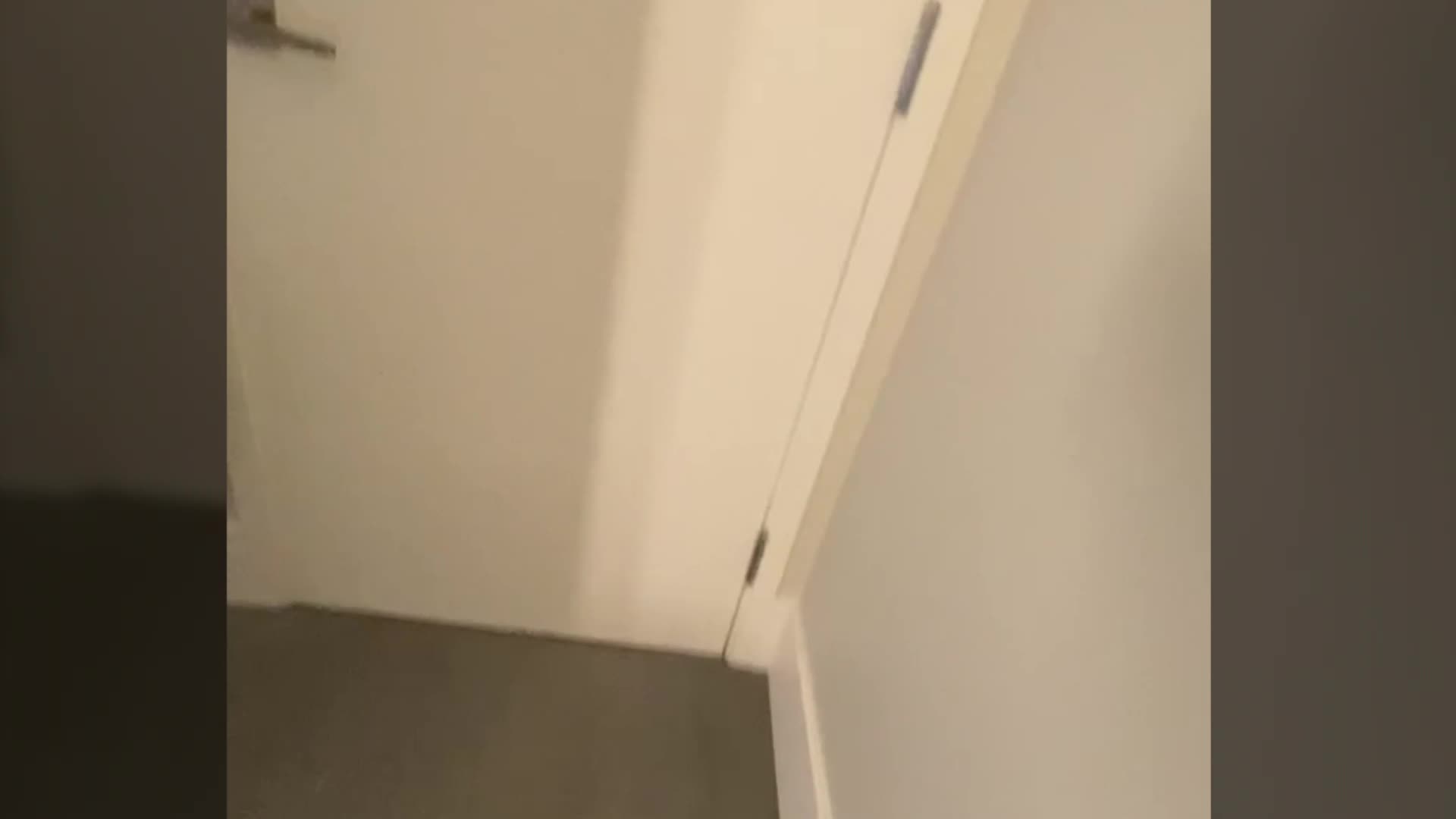 Video 36266 from Amber Ajami