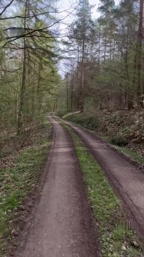 Video 38703 from Emmasweetsugar