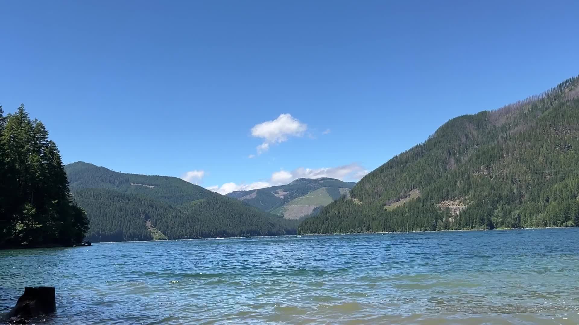 Video 40747 from Ivory Fox