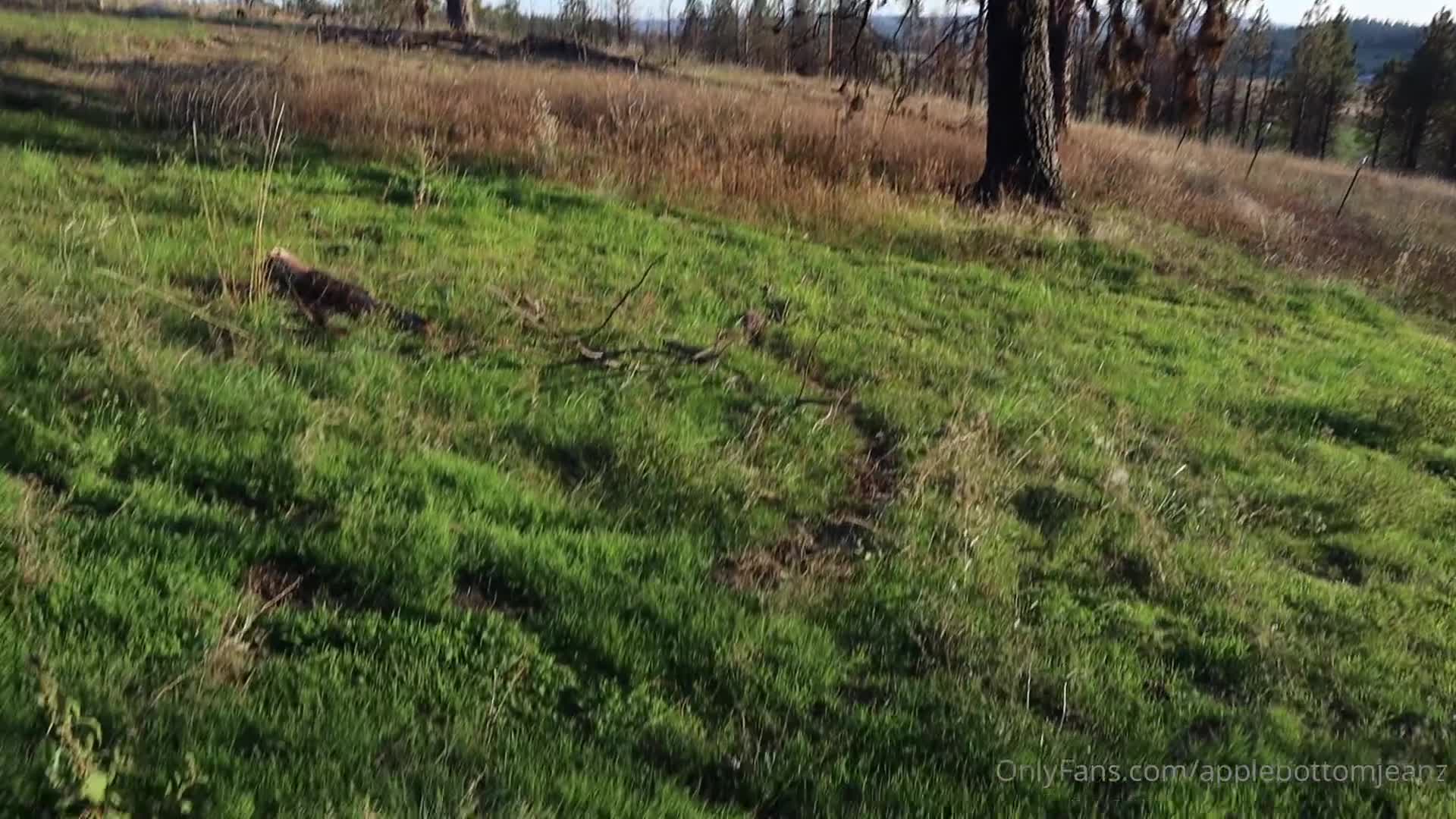 Video 40889 from applebottomjeanz