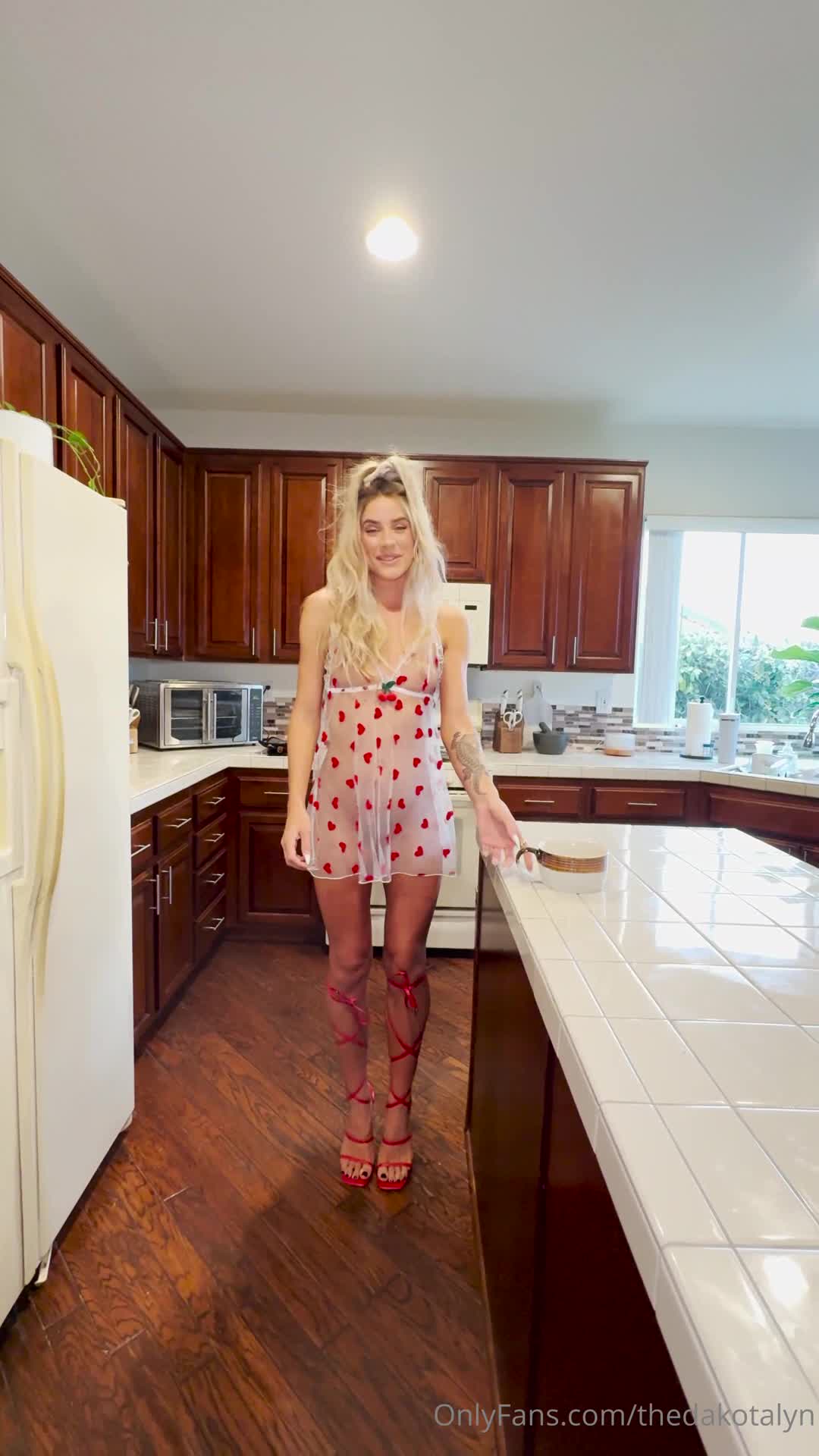 Video 41490 from Thedakotalyn