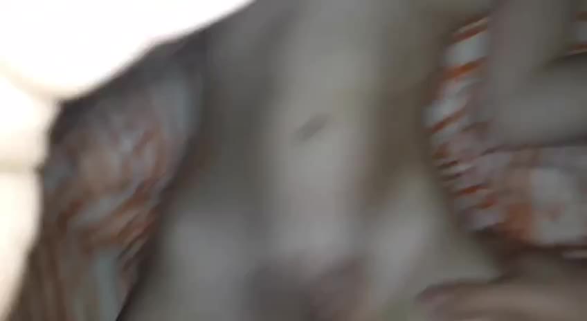 Video 41957 from blue.mogli