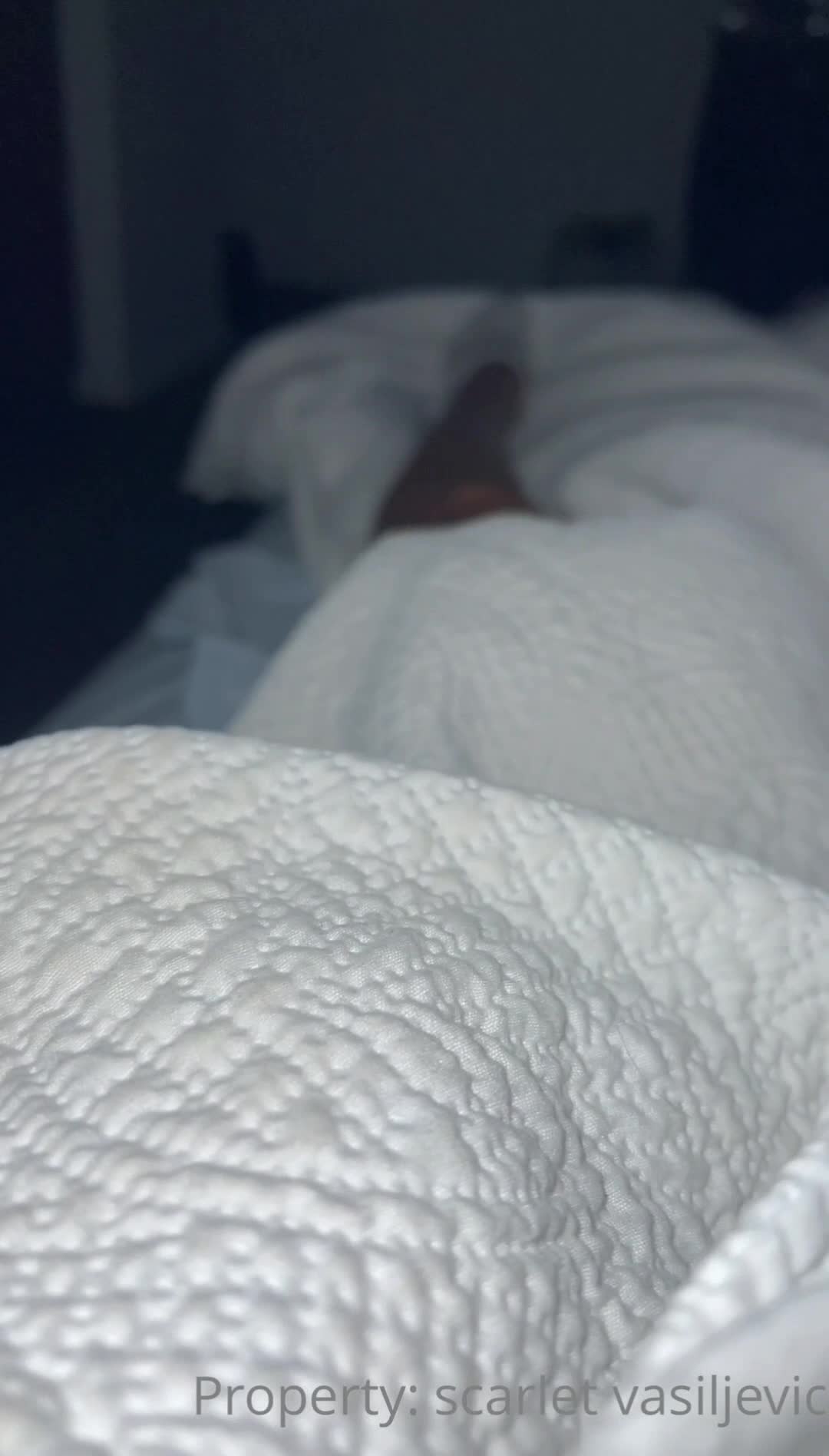 Video 43567 from Scarlet Vas