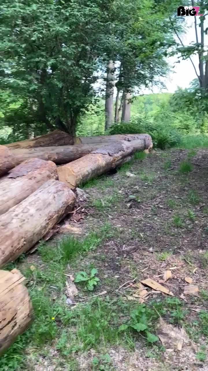 Video 44045 from Lara Lina