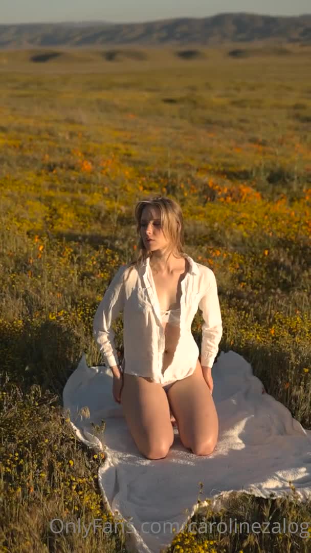 Video 44617 from Caroline Zalog