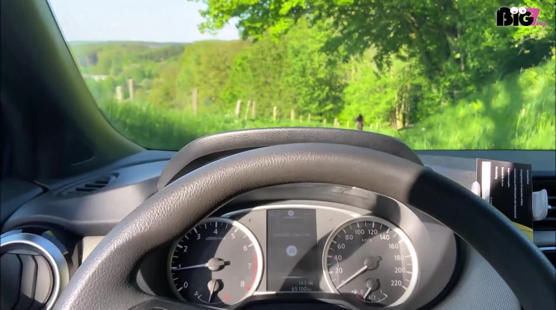 Video 45065 from Darialm