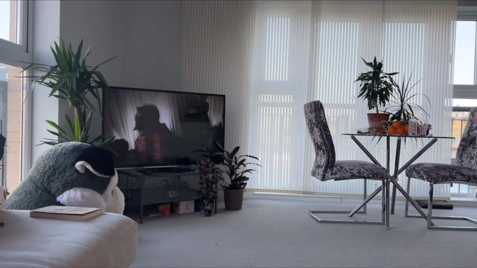 Video 49989 from Toni Camille