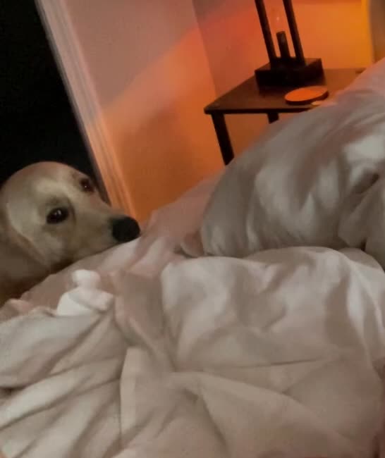 Video 52414 from GivingYouGrace