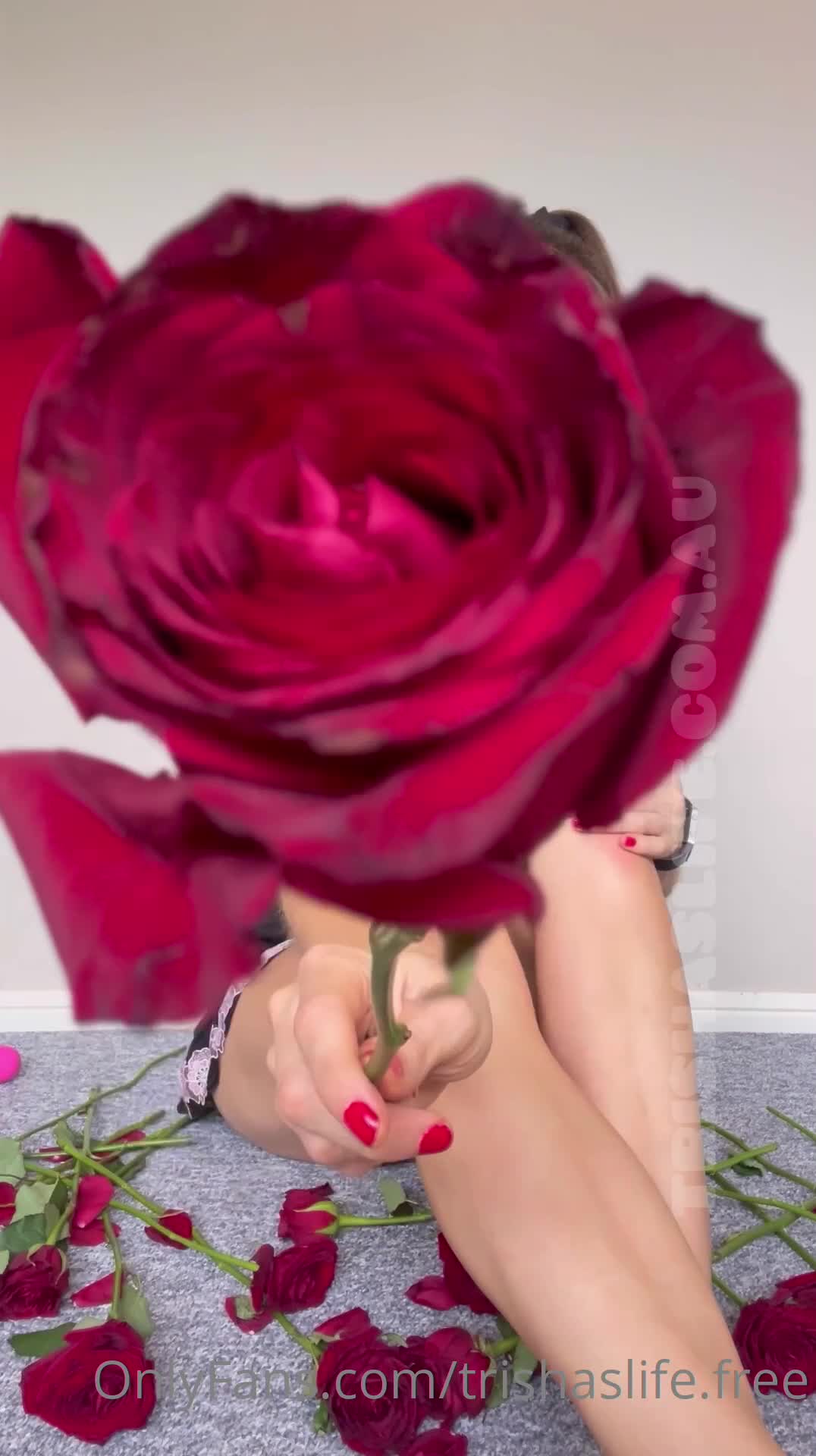 Video 52748 from Trishaslife