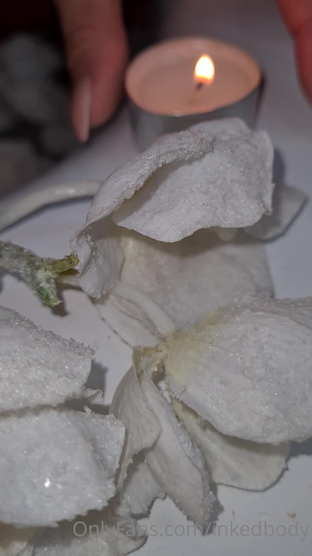 Video 54979 from Inkedbody