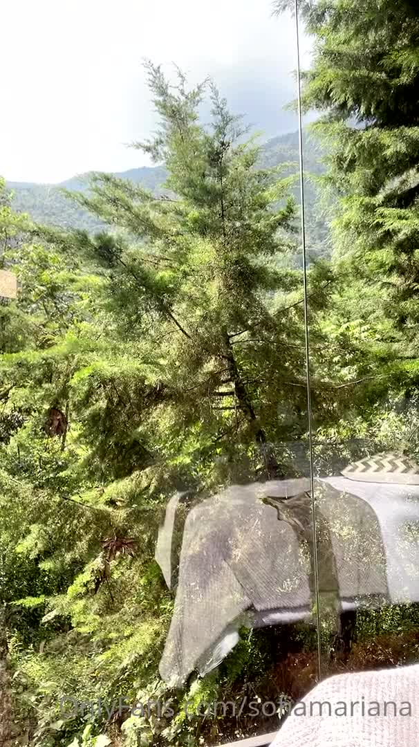 Video 55783 from Daniela Tabares