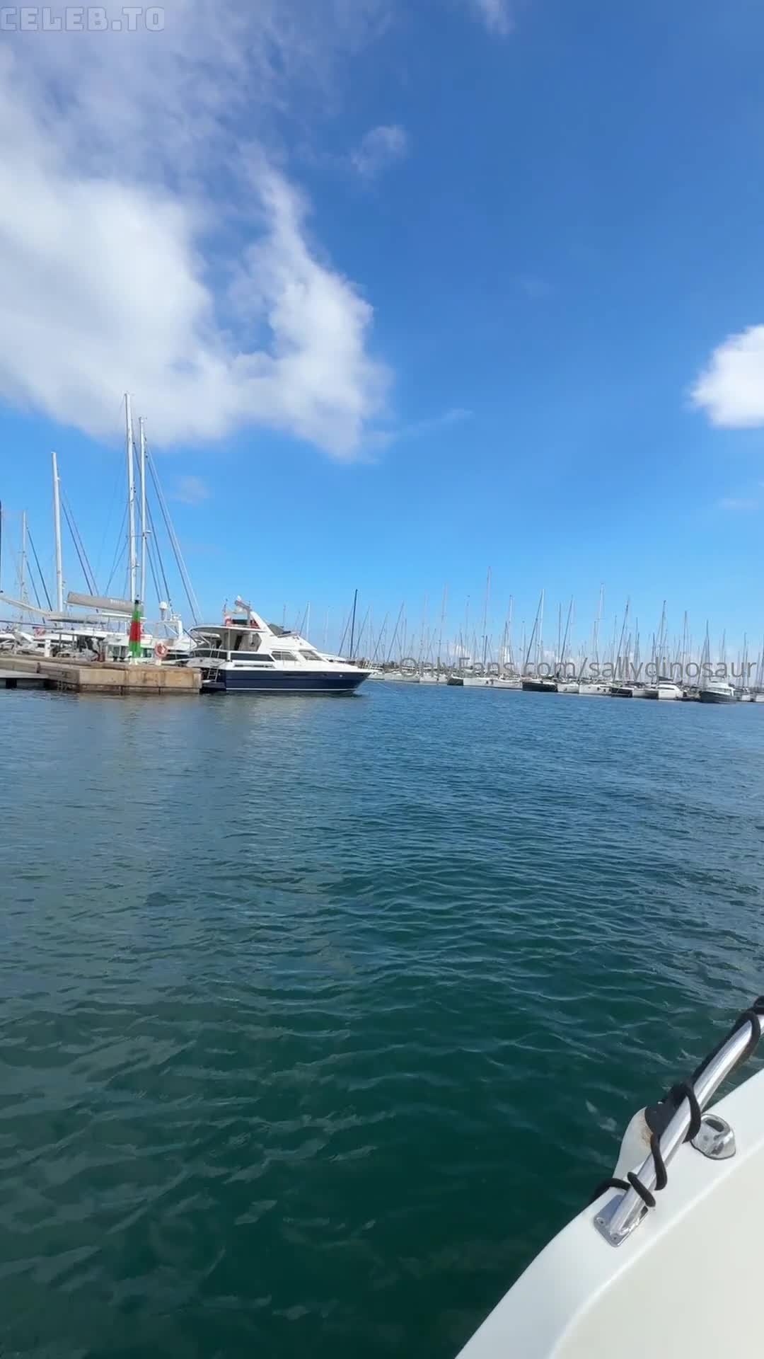 Video 112233 from Sallydinosaur