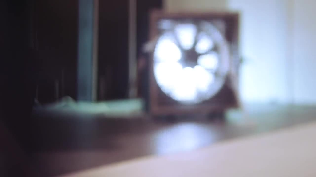 Video 114040 from Mia Julia Brückner