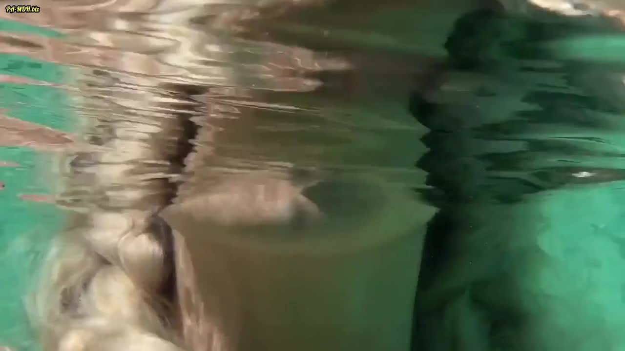 Video 114062 from Mia Julia Brückner